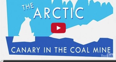 Why the Arctic is climate change’s canary in the coal mine